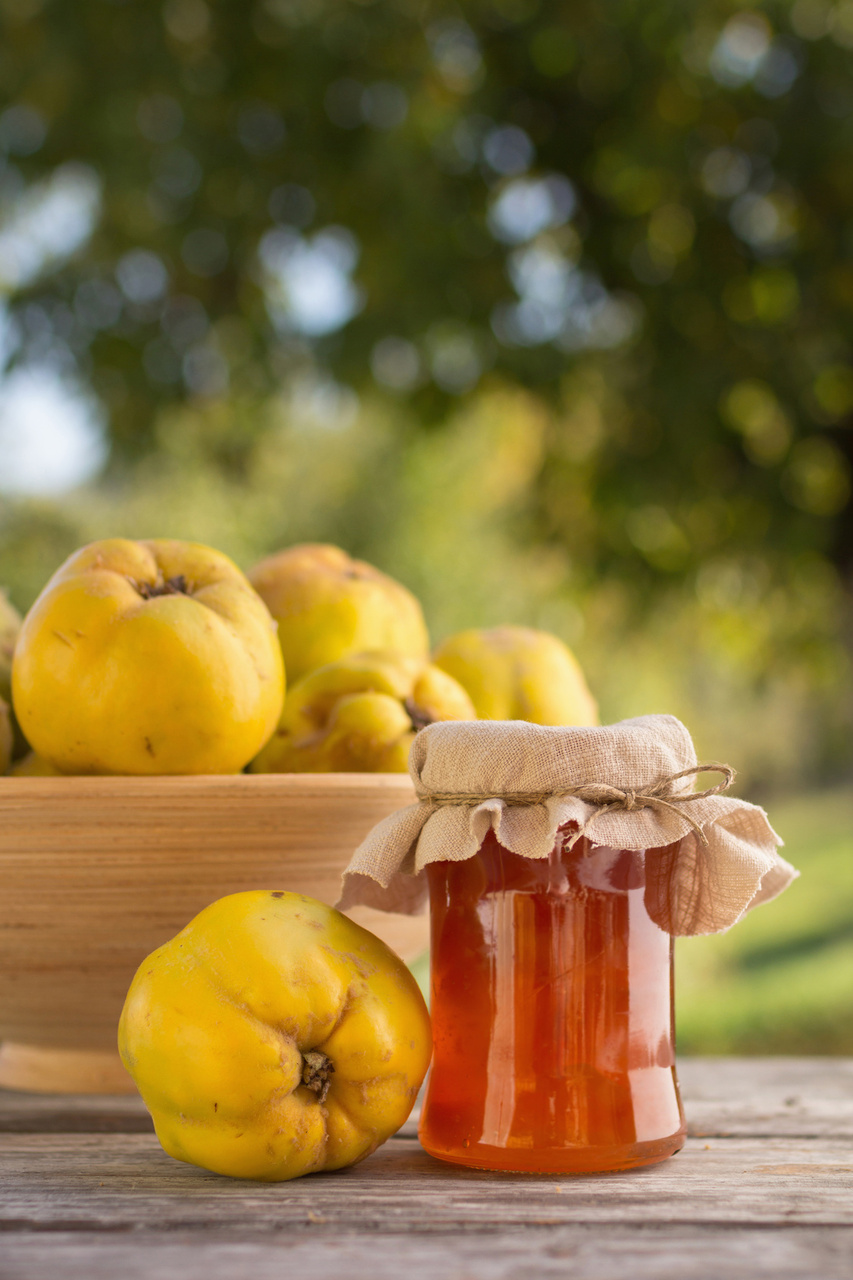 Festive Fall Canning Recipes