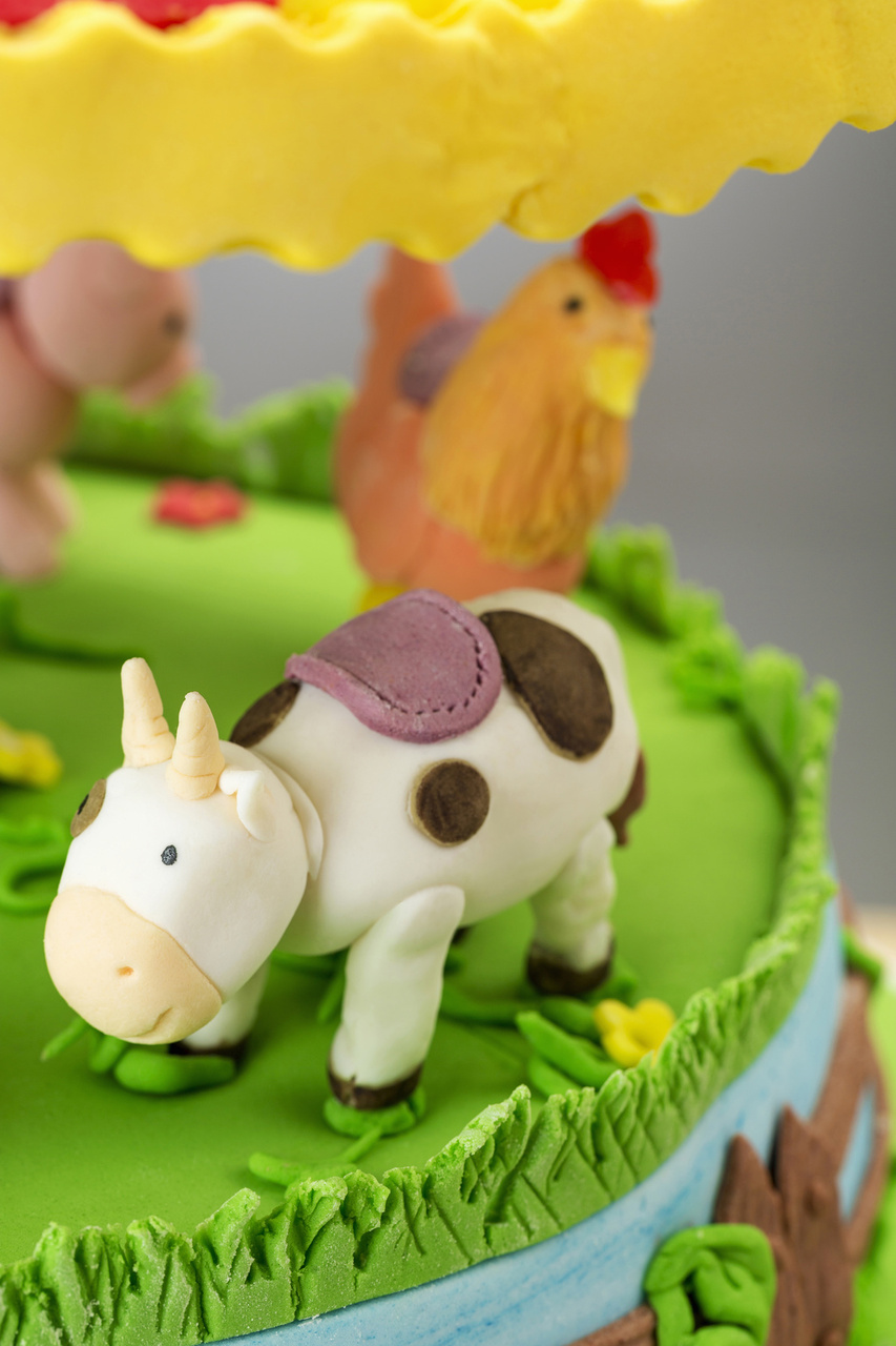 Barnyard 1st Birthday