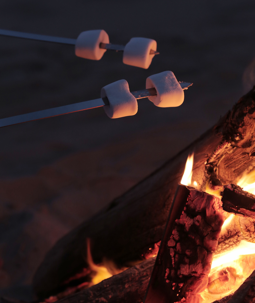 10 Creative S'mores Combinations