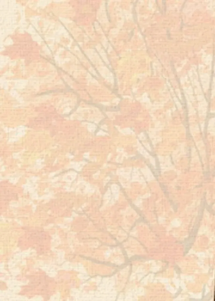 Equinox Trees card inside left