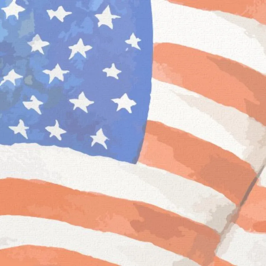 American Flags card inside left