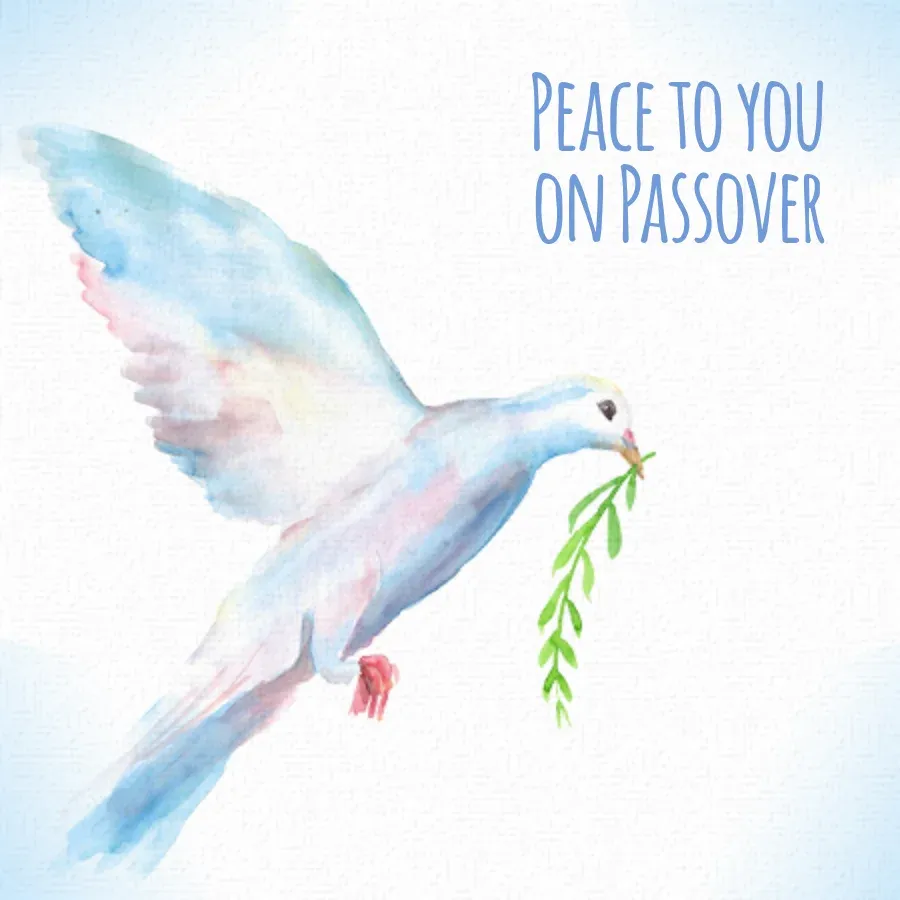 Passover Dove card front