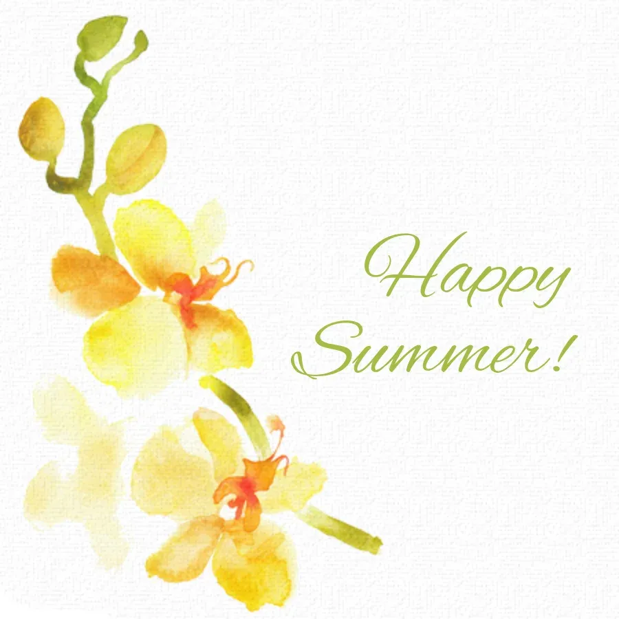 Sunny Summer Flowers card front