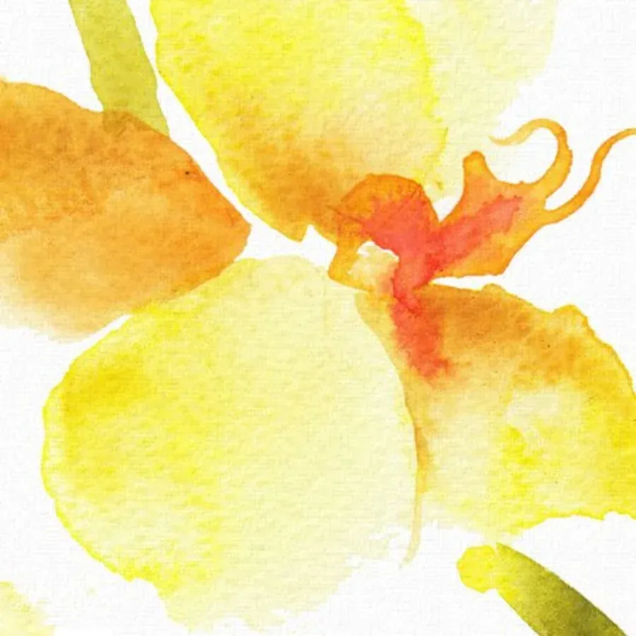 Sunny Summer Flowers card inside left