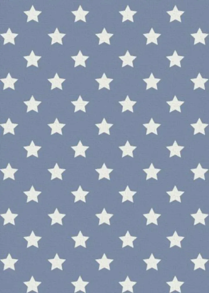 Vintage Stars and Stripes card inside left