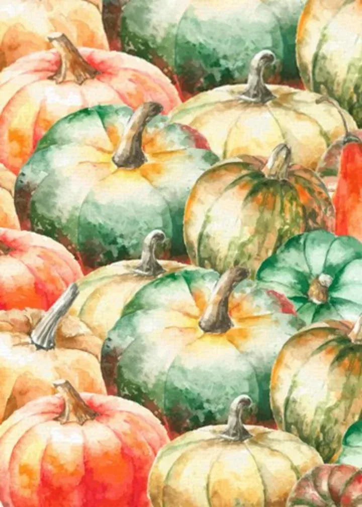 Rustic Pumpkin card inside left