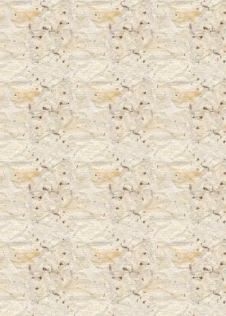 Winter Cardinal Thank You card inside left