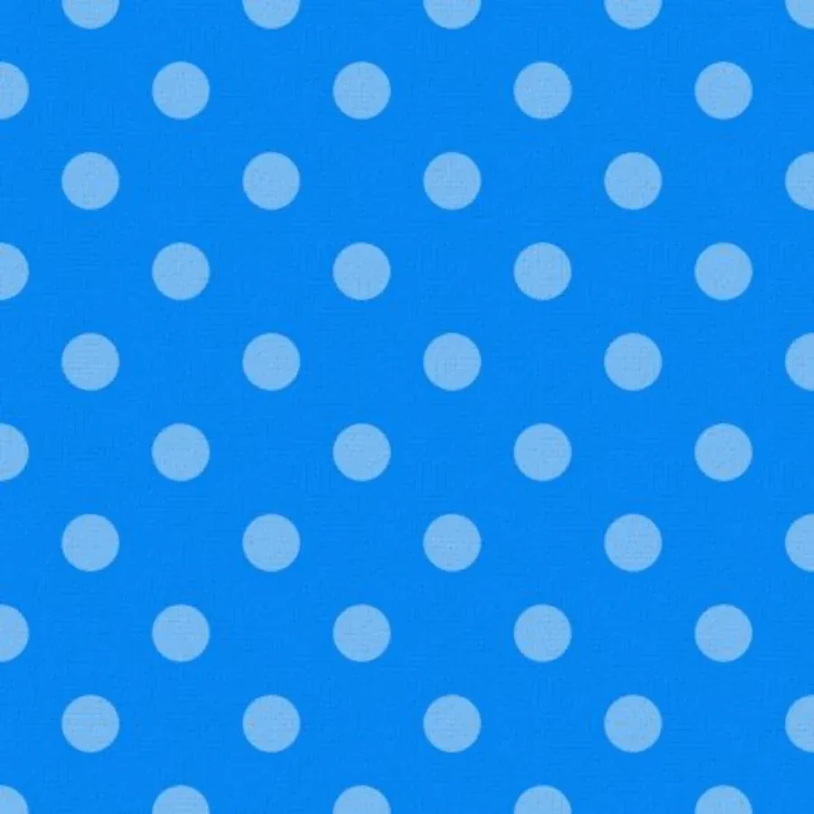 2025 Graduate Photo card inside left