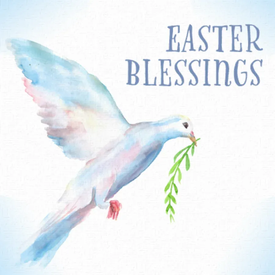 Easter Dove card front