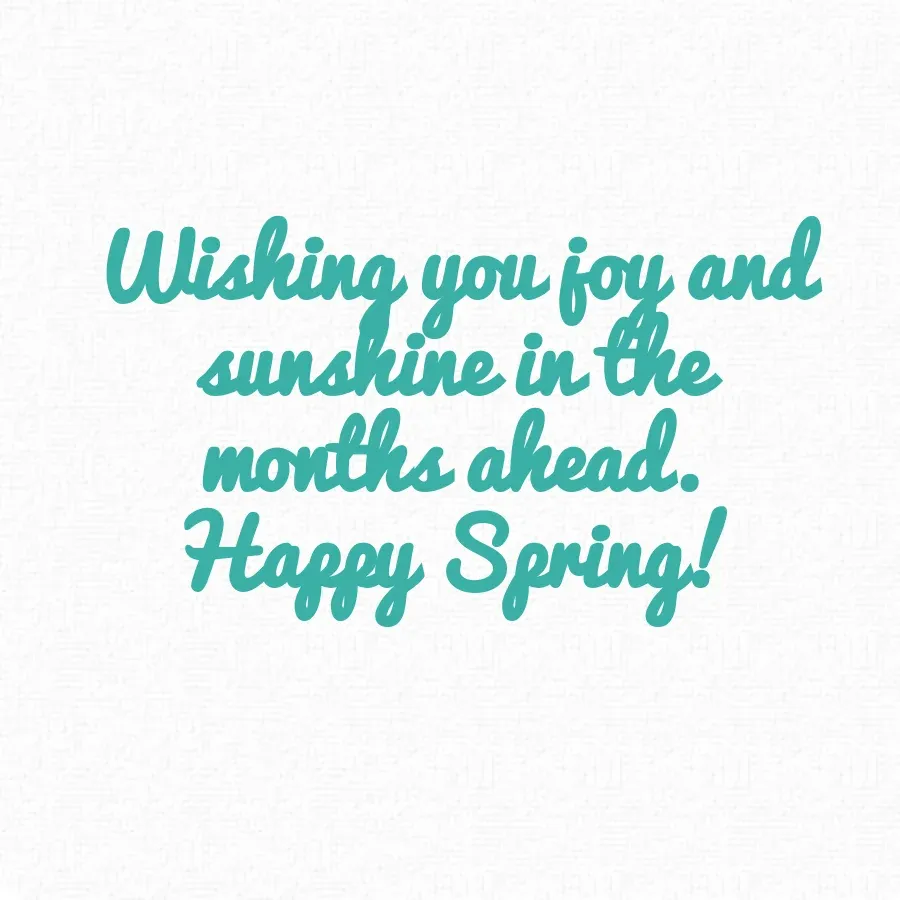 Baby Bird card inside right