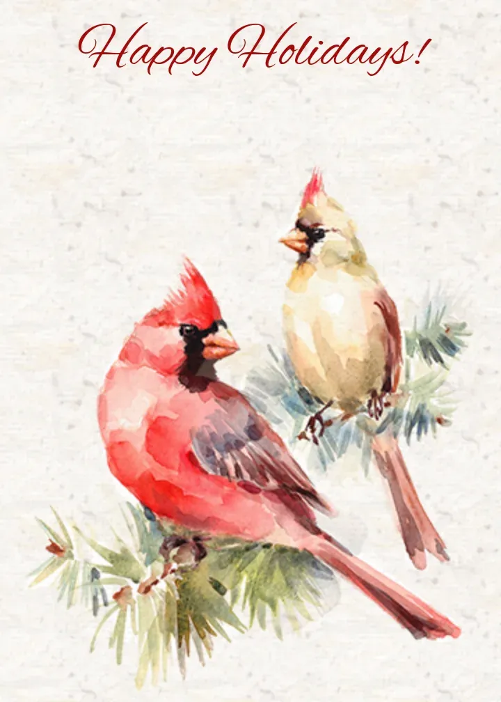 Winter Cardinal Holiday card front