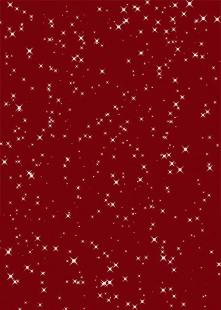 Joyful New Year Photo card inside left