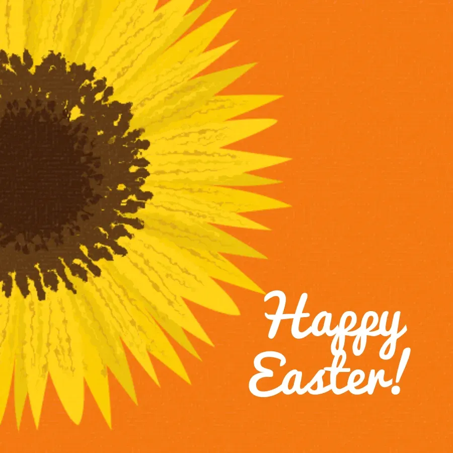 Easter Sun Flower card front