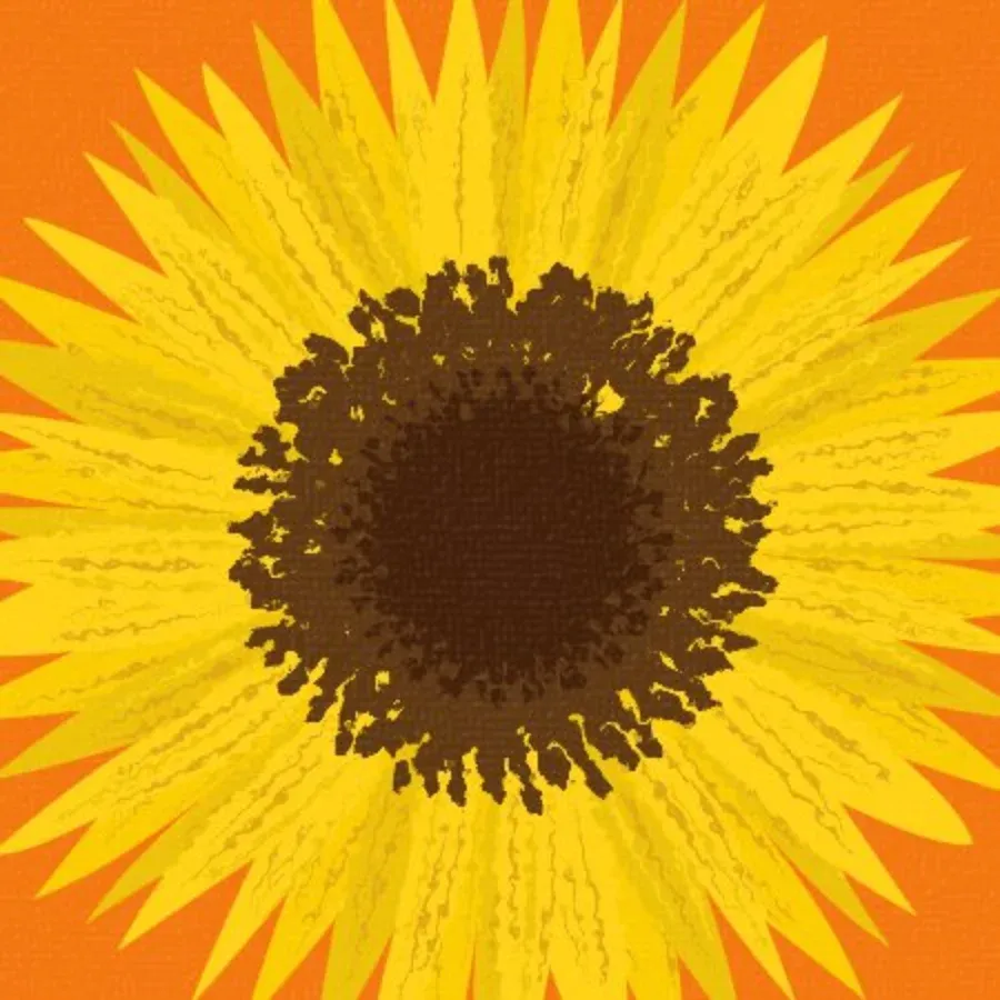 Easter Sun Flower card inside left