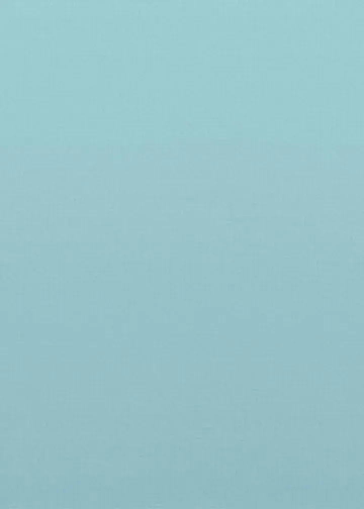 Blue Whale card inside left