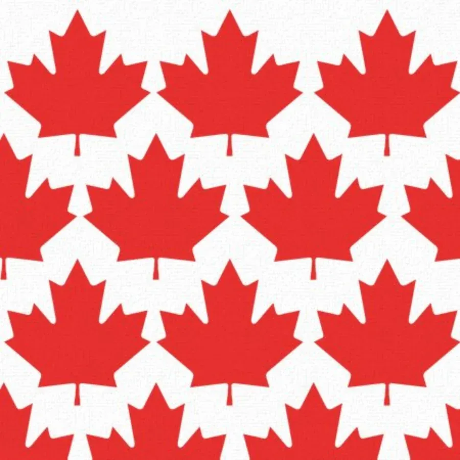 Maple Leaf card inside left