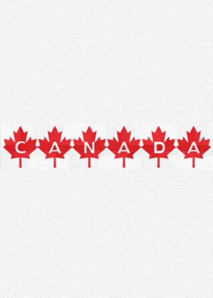 Canada Day Texture card inside left