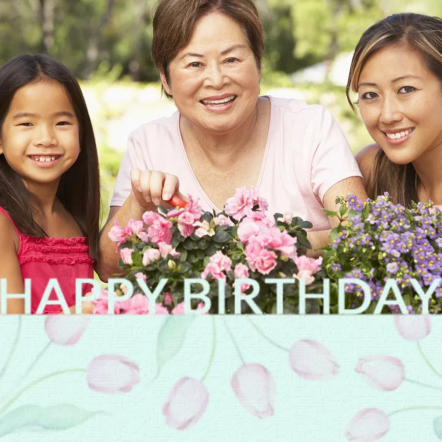 Belated Photo with Tulips card front