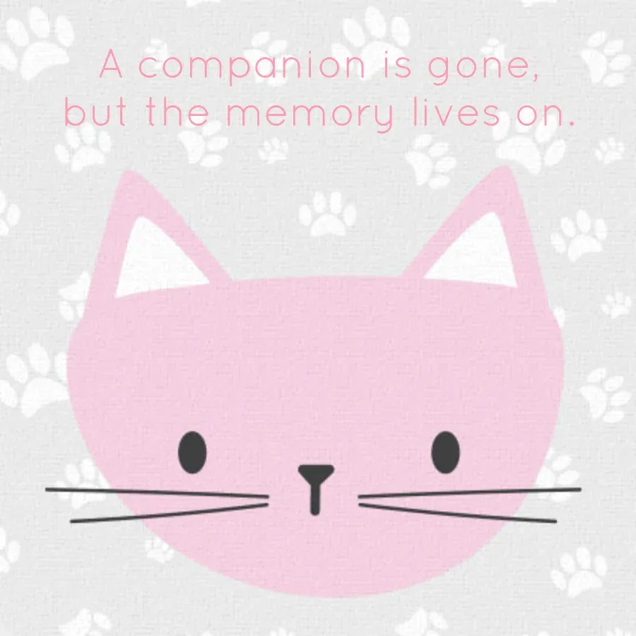 Cat Sympathy card front