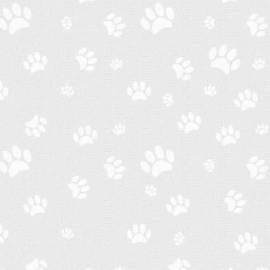 Cat Sympathy card inside left