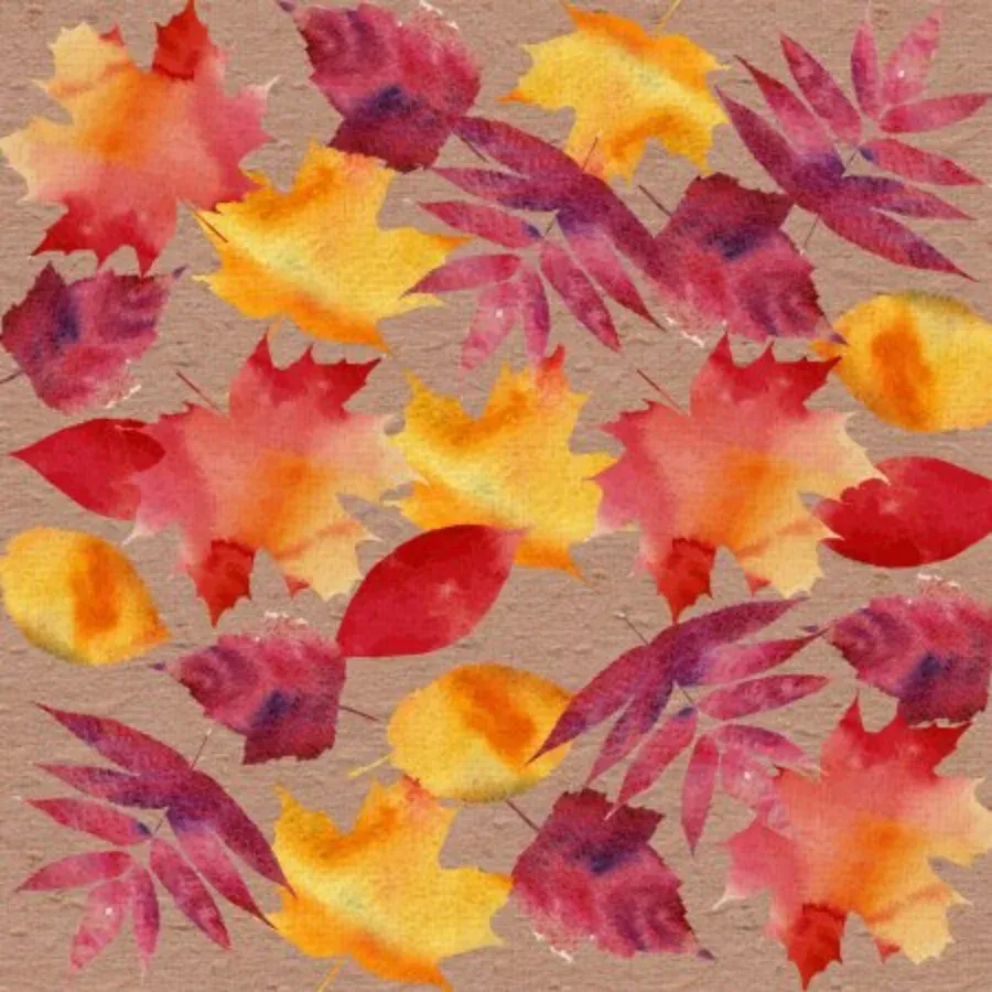 Fall Equinox Oval Photo card inside left