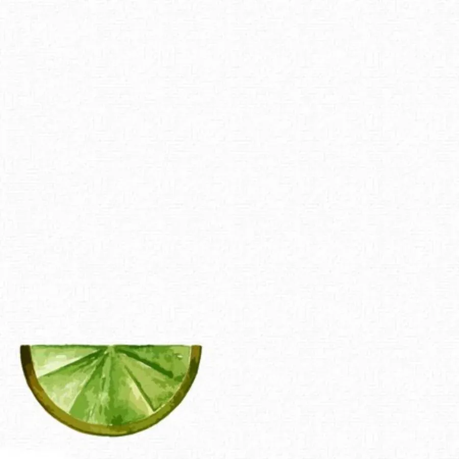 Cheers to Cinco de Mayo card inside left