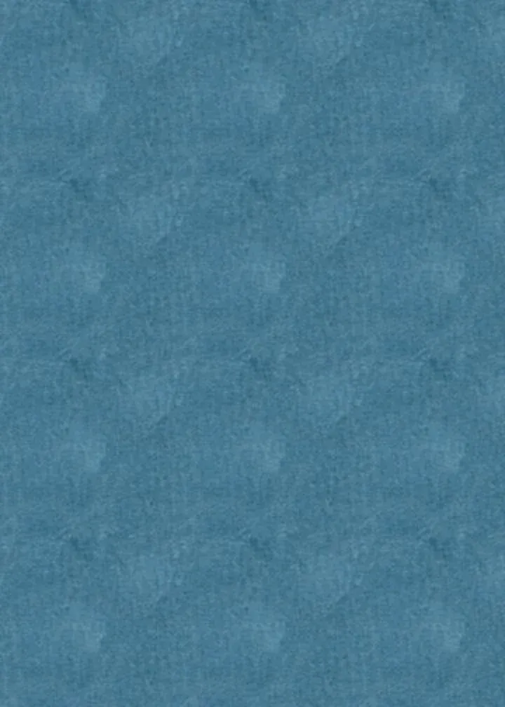 Baby Sand Dollar card inside left