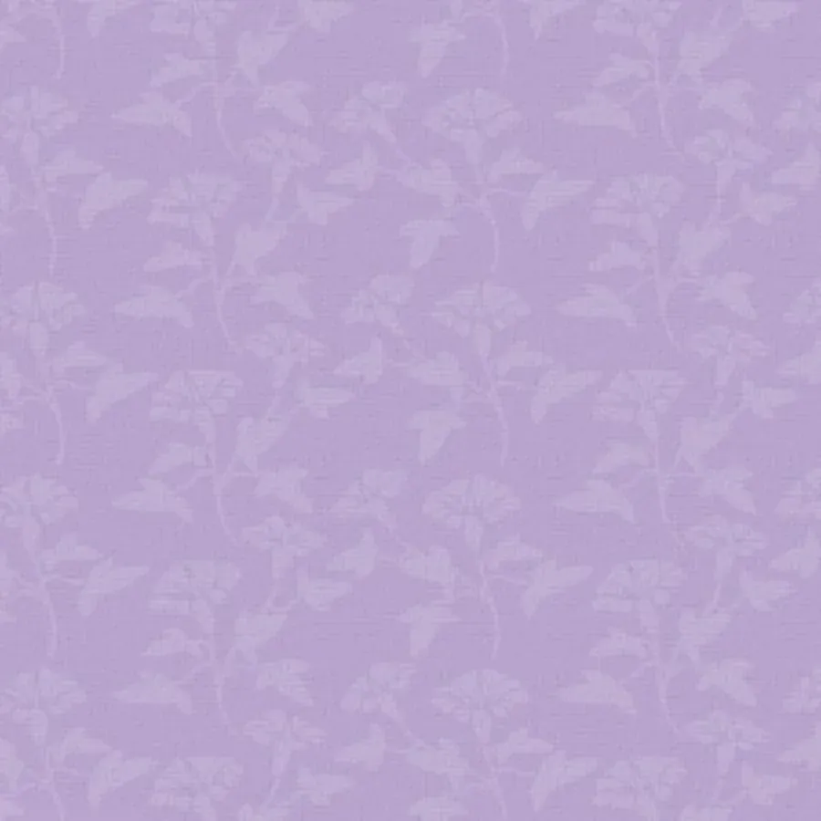 I'm Sorry Photo card inside left