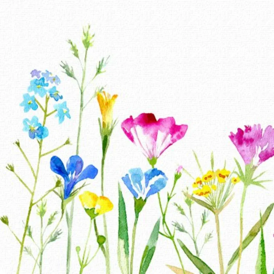 Sympathy Flower Field card inside left