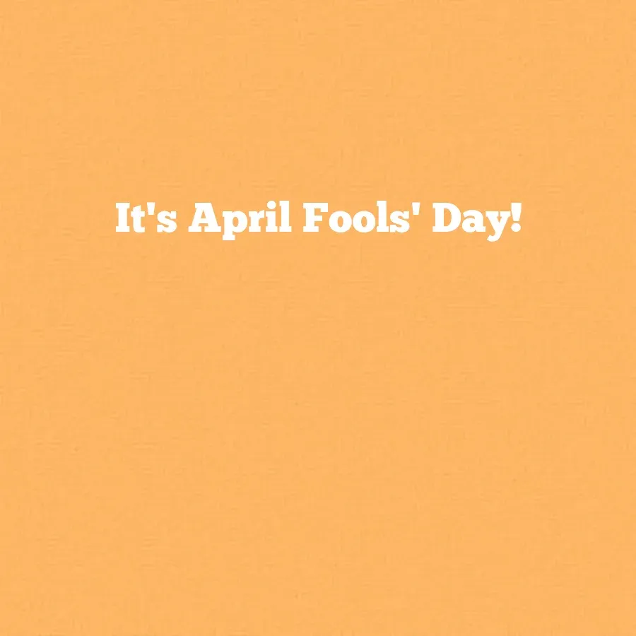 Pouncing Cat card inside right