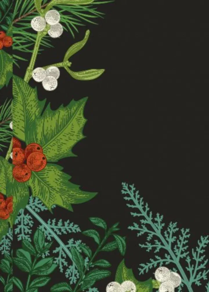 Formal Christmas Photo card inside left