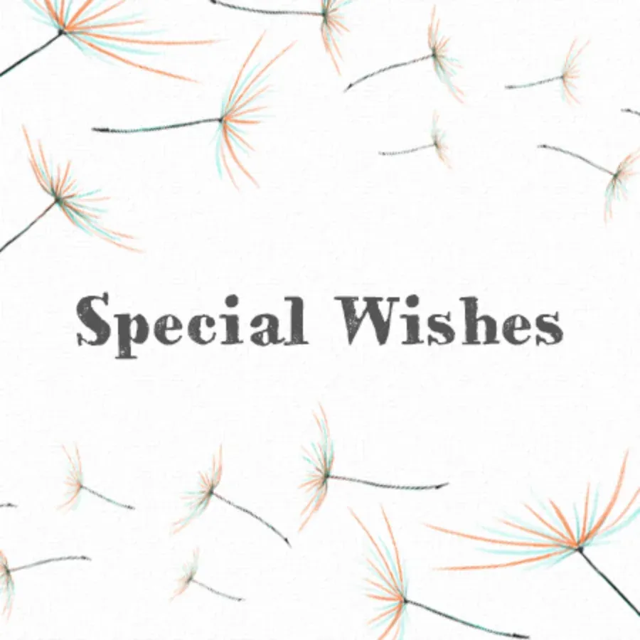 Special Wishes card front