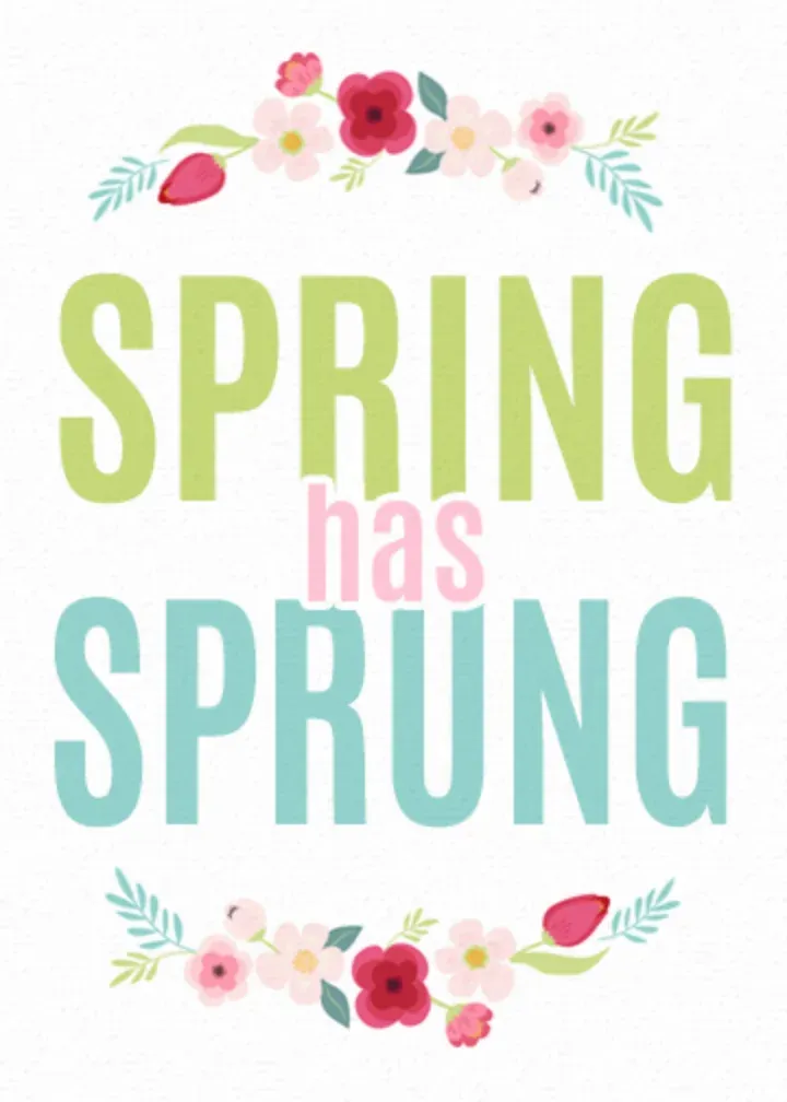 Spring Has Sprung card front