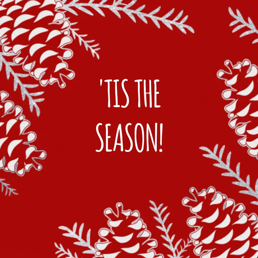 Pine Cones card front