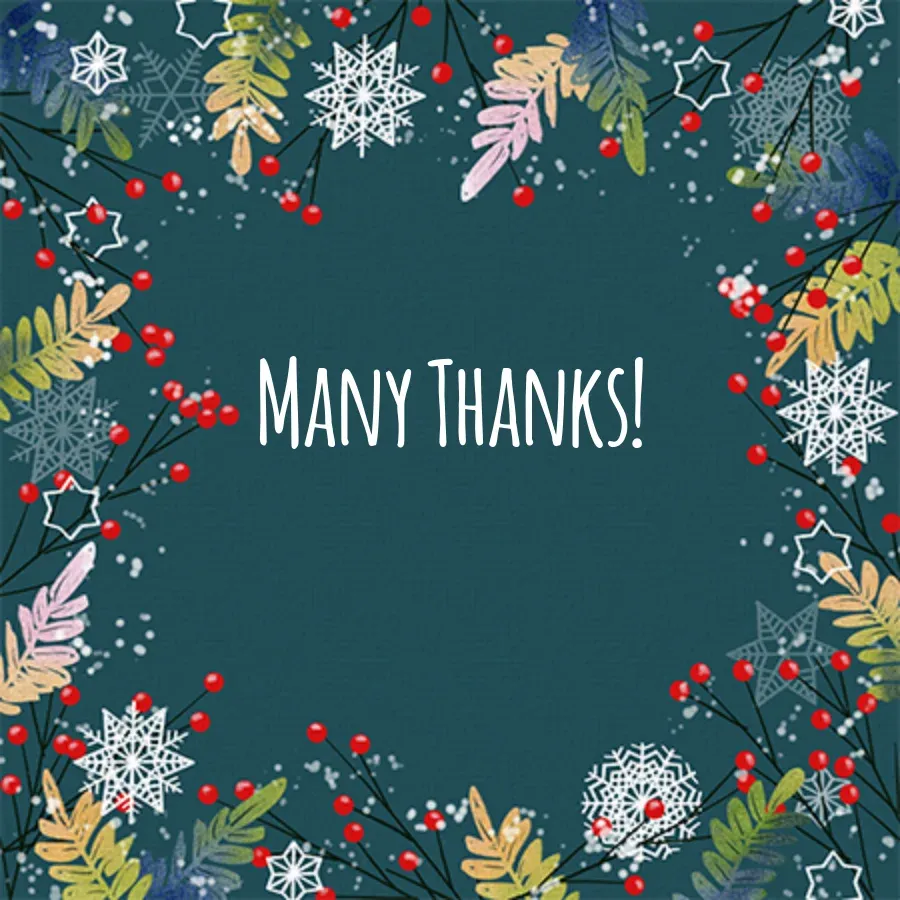 Thank You Snow Border card front