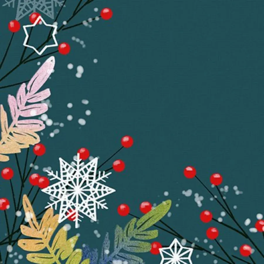 Thank You Snow Border card inside left