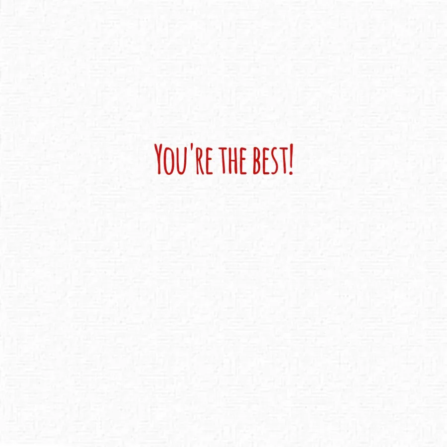 Thank You Snow Border card inside right