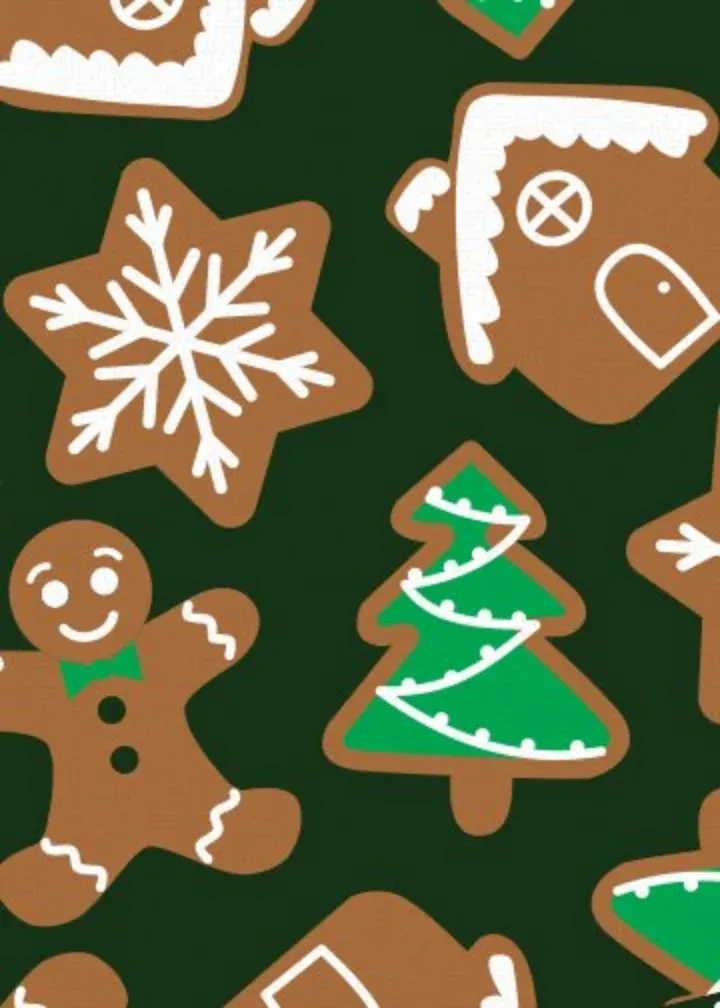 Merry Christmas Photos card inside left