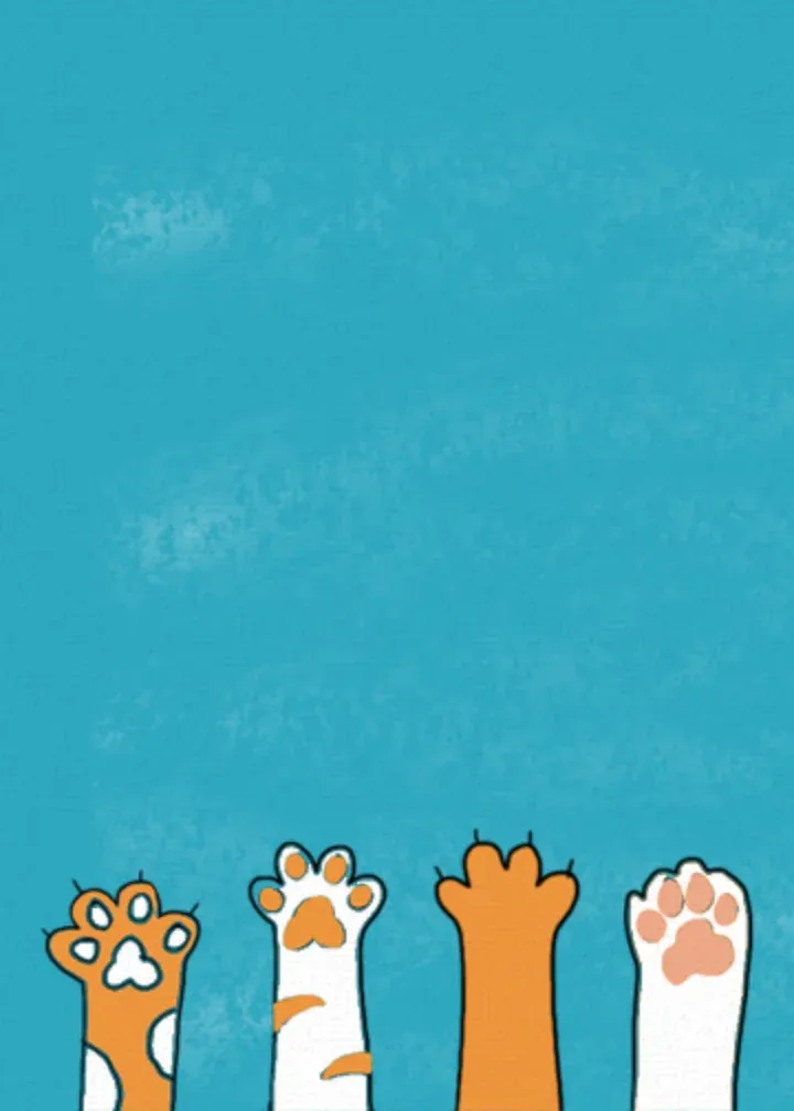 Cool Cat card inside left