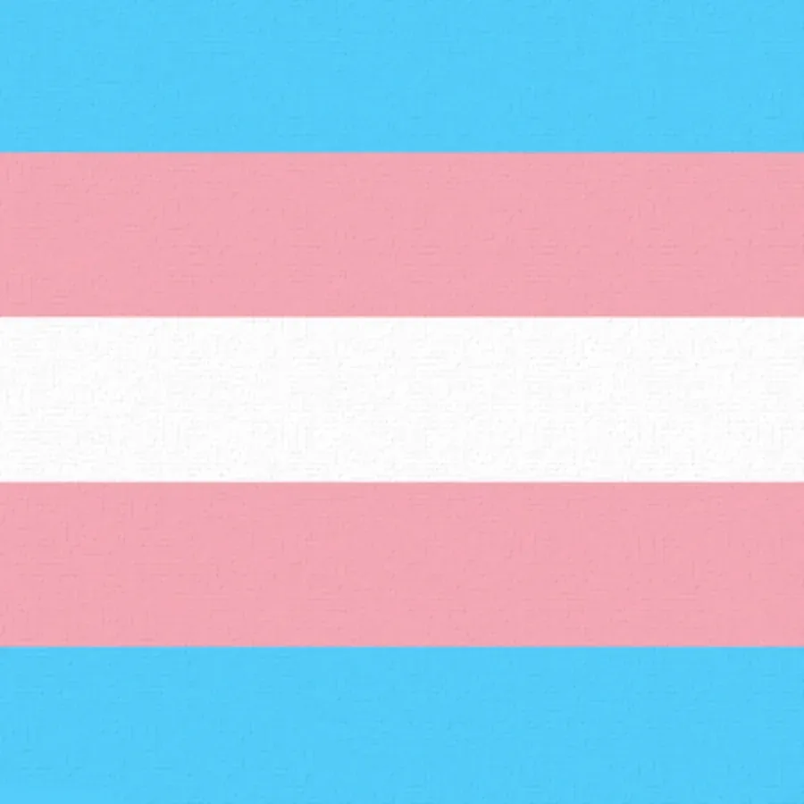 Transgender Equality card front