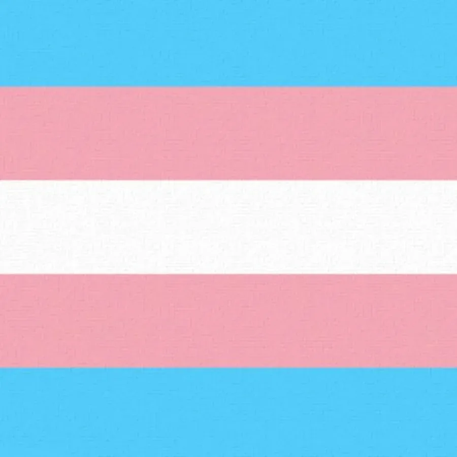 Transgender Equality card inside left