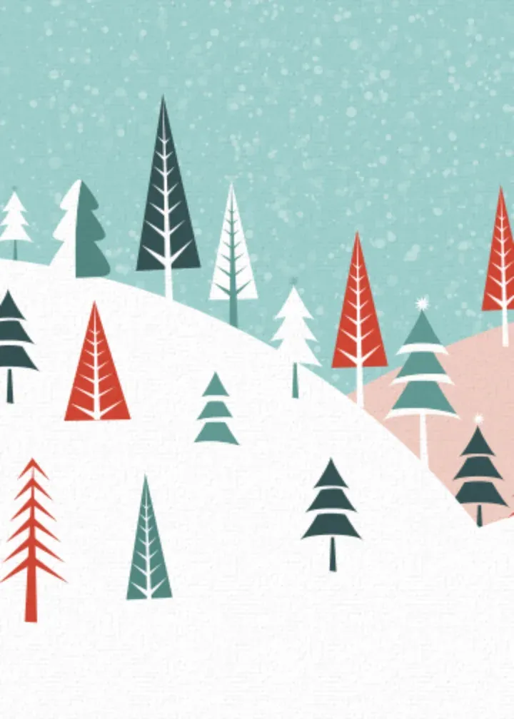 Merry Christmas Godmother Birds card inside left