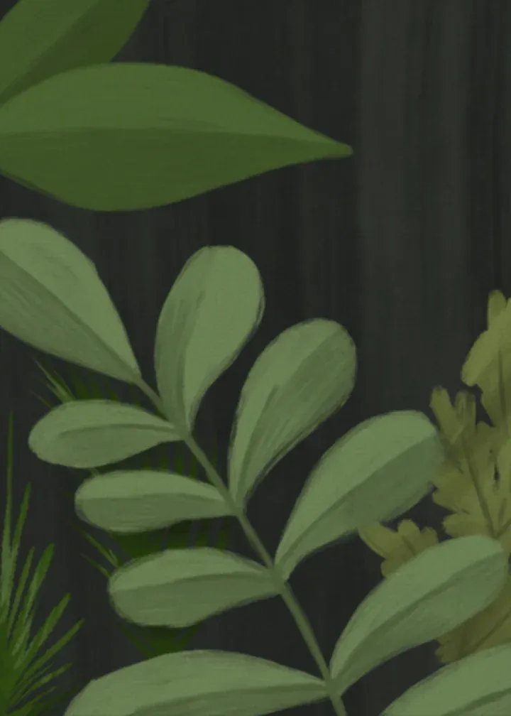 Illustrated Noel card inside left