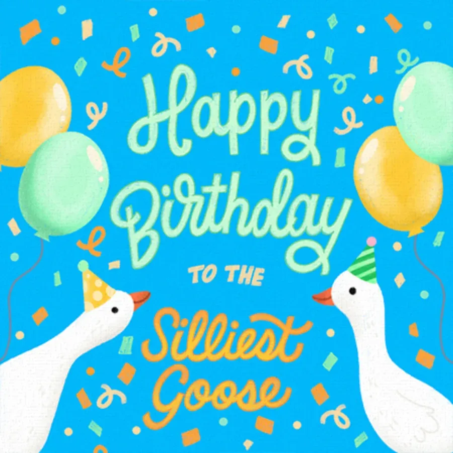 Silly Goose Birthday card front