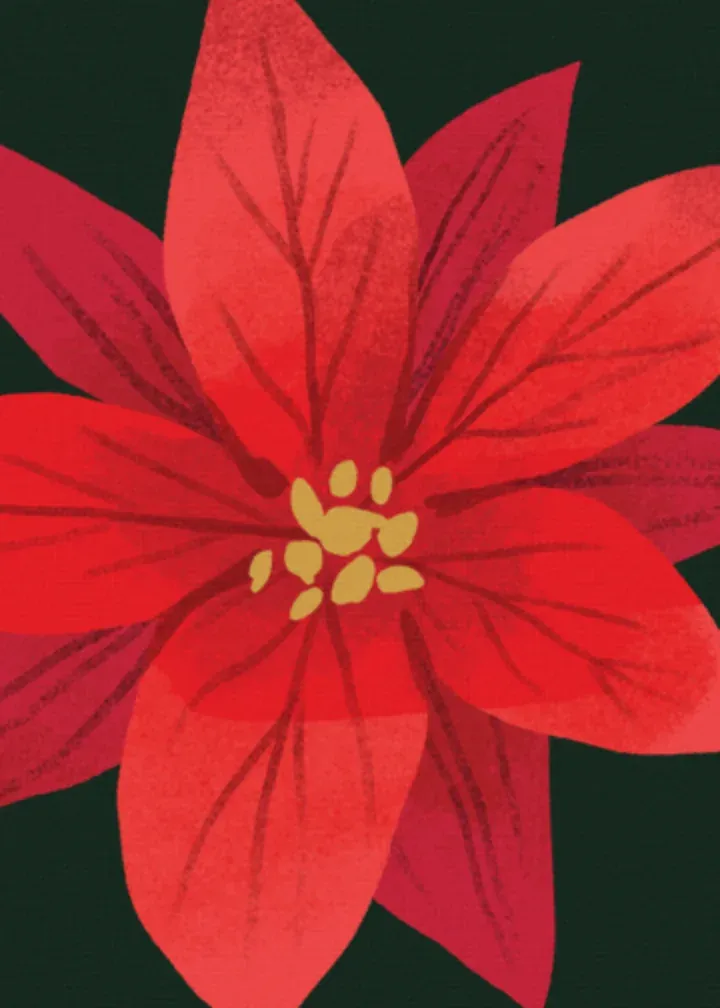 Poinsettia Photo card inside left