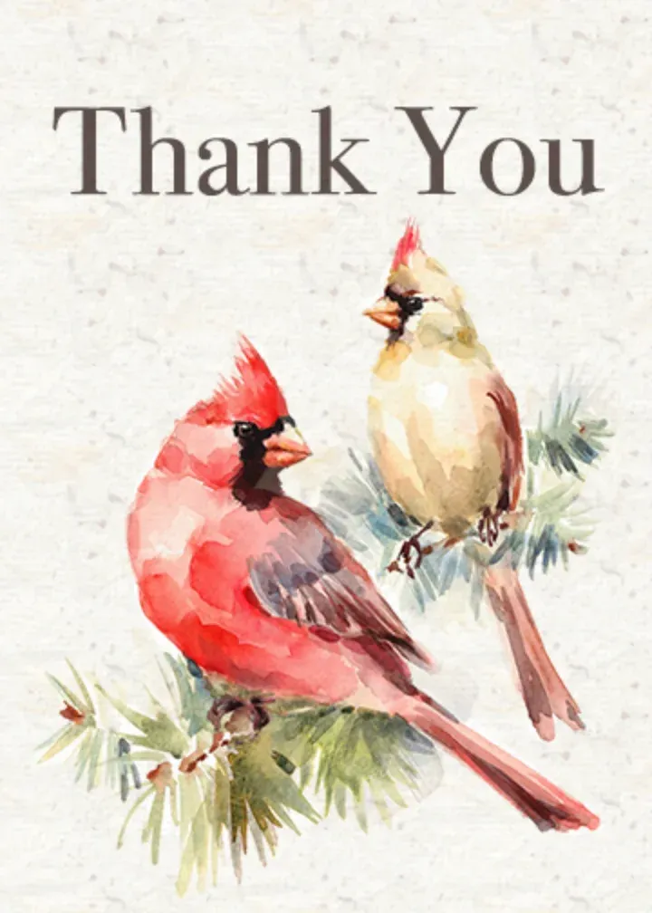 Thank You Cardinals card front