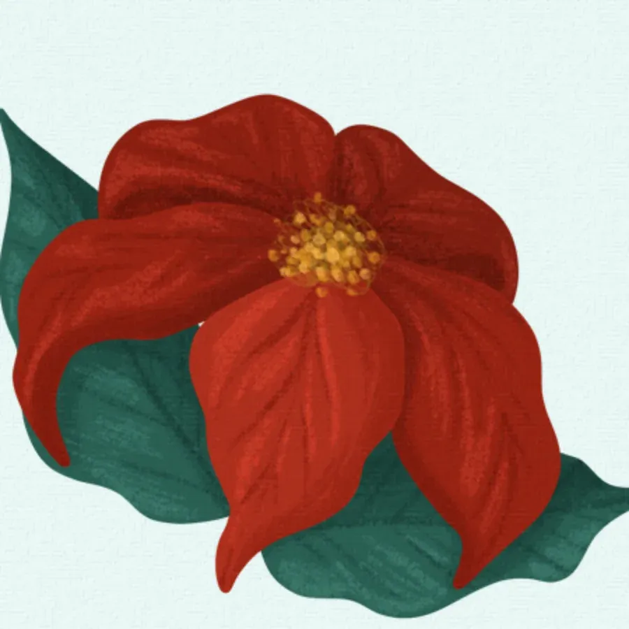 Heaven & Nature Sing card inside left