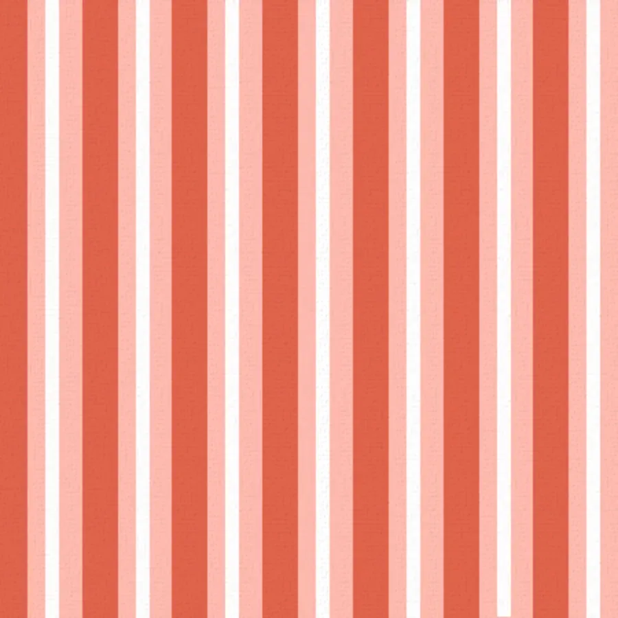 Roll Model card inside left