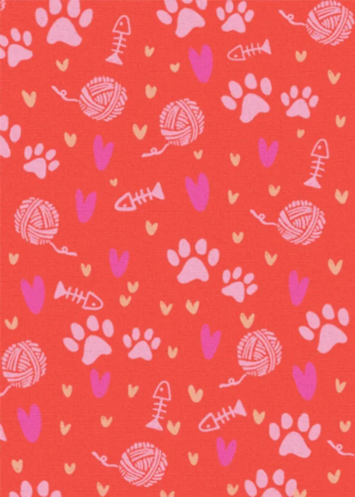 Coolest Cat card inside left