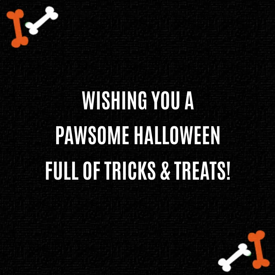 PAW Patrol Happy Halloween card inside right